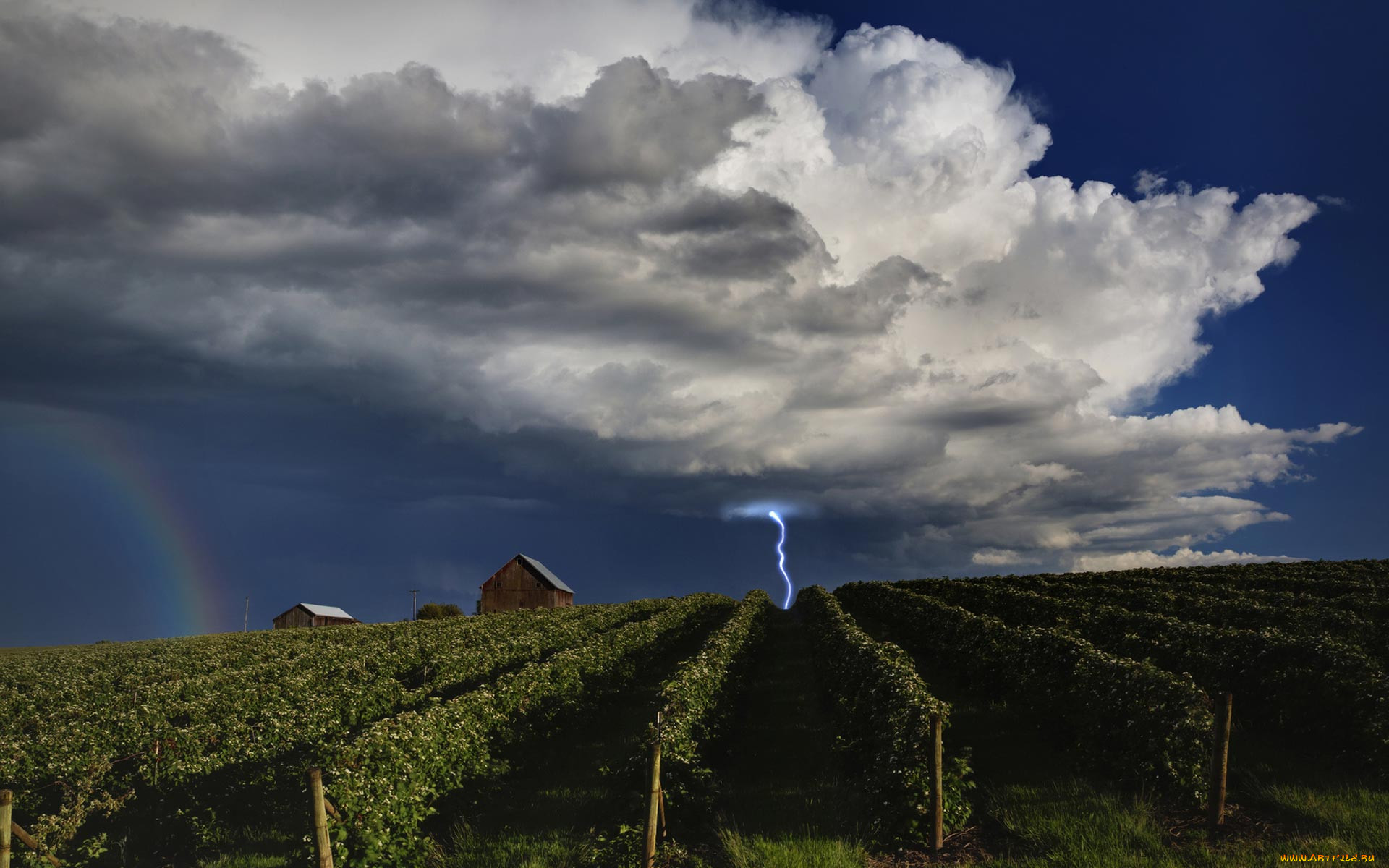 lightning, over, vineyards, , , , , , , 